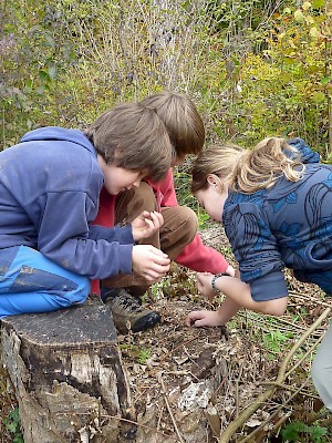 Enfants qui observent (Pro Natura)