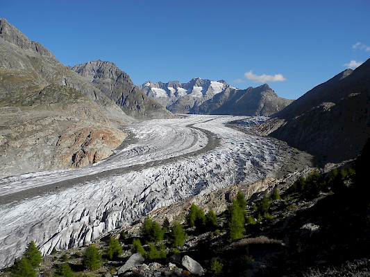 Grand glacier d